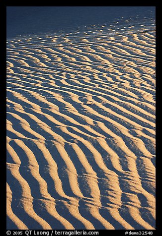 Close-up of Sand ripples, sunrise. Death Valley National Park (color)