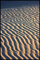 Close-up of Sand ripples, sunrise. Death Valley National Park, California, USA.