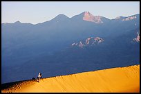 Photographer on dune ridge at sunrise. Death Valley National Park ( color)