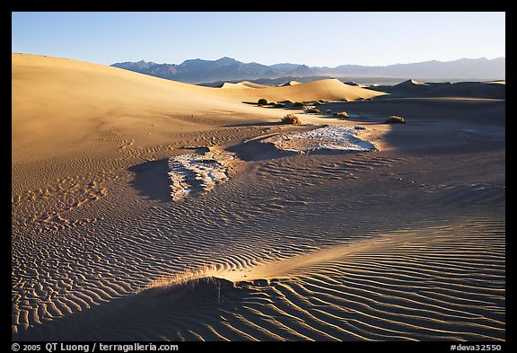 Depression in dunes with sand ripples, Mesquite Sand Dunes, early morning. Death Valley National Park (color)