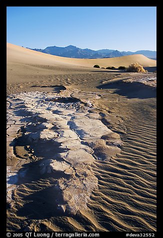 Cracked mud and sand ripples, Mesquite Sand Dunes, early morning. Death Valley National Park, California, USA.
