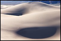 Sensuous forms, Mesquite Sand Dunes, morning. Death Valley National Park, California, USA. (color)