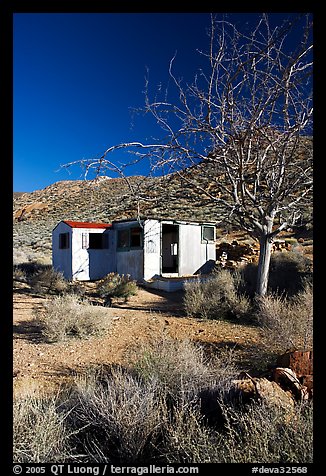 Cabin of Pete Aguereberry's mining camp in the Panamint Mountains, afternoon. Death Valley National Park (color)