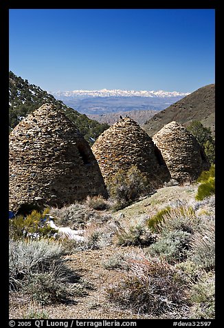 Wildrose Charcoal kilns with Sierra Nevada in background. Death Valley National Park (color)