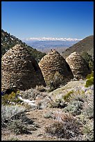 Wildrose Charcoal kilns with Sierra Nevada in background. Death Valley National Park, California, USA. (color)