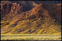 Desert Gold and mountains, late afternoon. Death Valley National Park ( color)