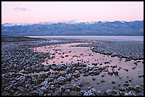 Pond and salt formations, Badwater, dawn. Death Valley National Park, California, USA. (color)