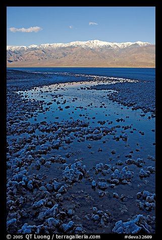 Salt pool and Panamint range, early morning. Death Valley National Park (color)