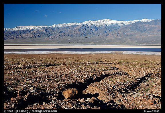 Valley with seasonal lake in the distance and Panamint Range, morning. Death Valley National Park (color)