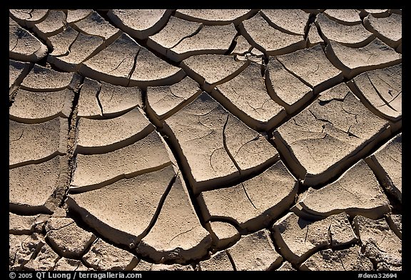 Mud cracks. Death Valley National Park (color)