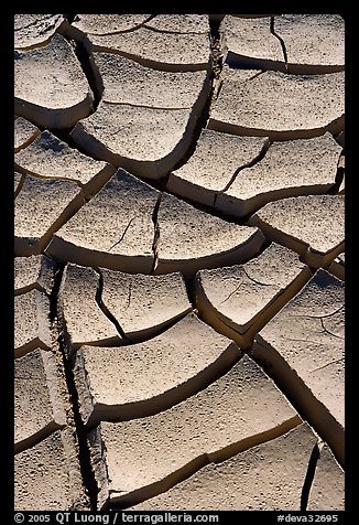 Cracked mud. Death Valley National Park (color)