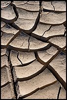 Cracked mud. Death Valley National Park, California, USA. (color)