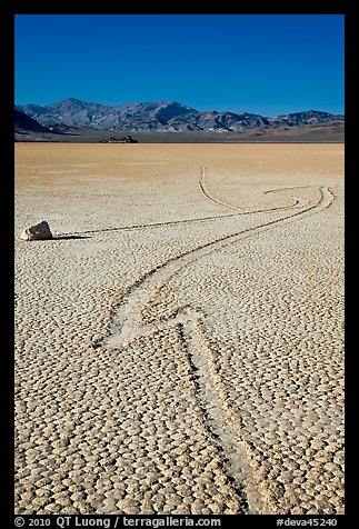 Zig-zagging track and sailing stone, the Racetrack playa. Death Valley National Park (color)