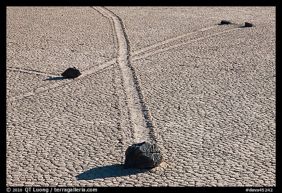 Intersecting travel grooves of sliding stones, the Racetrack. Death Valley National Park (color)