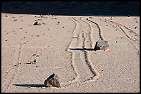 Gliding stones, the Racetrack playa. Death Valley National Park, California, USA.