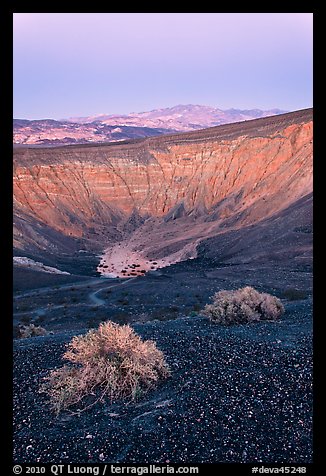 Sagebrush and Ubehebe Crater at dusk. Death Valley National Park (color)