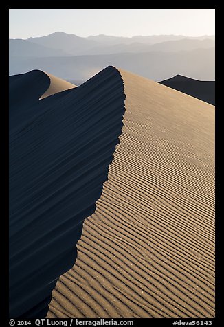 Dune ridge, late afternoon. Death Valley National Park (color)