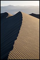 Dune ridge, late afternoon. Death Valley National Park ( color)
