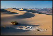 Dunes, mesquite, dried mud, Amargosa Range. Death Valley National Park ( color)