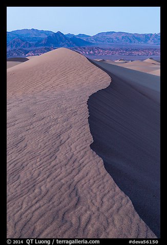 Dune ridge and Amargosa Range at dusk. Death Valley National Park (color)