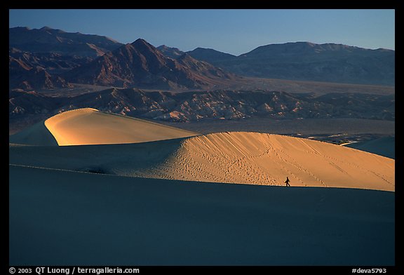 Hiker on ridge, Mesquite Dunes, sunrise. Death Valley National Park, California, USA.