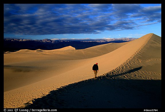 Hiking towards tall dune, the Mesquite Dunes, sunrise. Death Valley National Park (color)