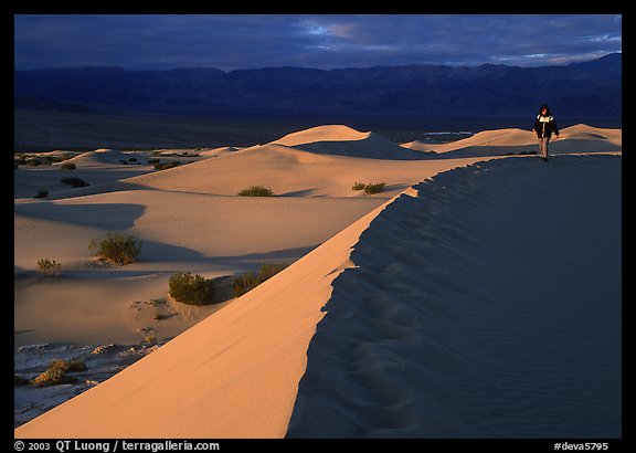 Hiker on a ridge in the Mesquite Dunes, sunrise. Death Valley National Park, California, USA.