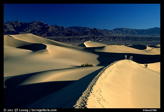 Dune field with hikers, Mesquite Dunes. Death Valley National Park, California, USA.