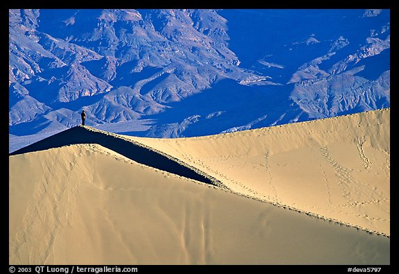 Hiker on sand dunes. Death Valley National Park (color)