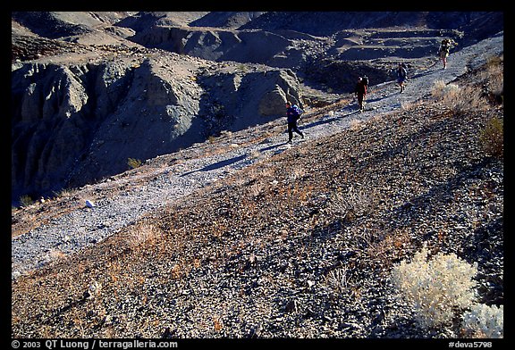 Hikers on slopes above side canyon. Death Valley National Park (color)