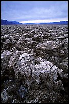Salt formations at Devil's Golf Course. Death Valley National Park, California, USA. (color)