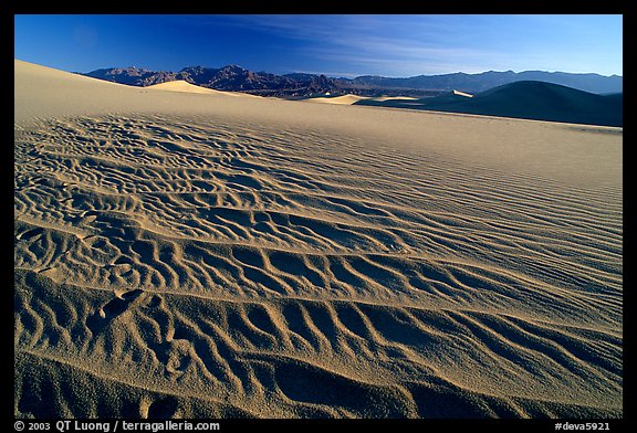 Ripples on Mesquite Dunes, early morning. Death Valley National Park
