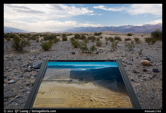 Sand Dunes Interpretive sign. Death Valley National Park, California, USA.