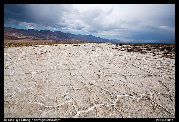 Salt evaporation ridges. Death Valley National Park (color)