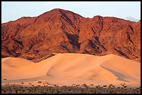 Ibex Dunes and Saddle Peak Hills at sunset. Death Valley National Park ( color)