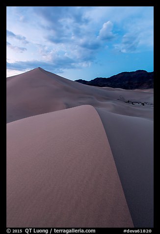 Ibex dunes field at dusk. Death Valley National Park (color)