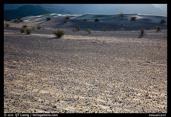 Ground littered with small rocks near Ibex Dunes. Death Valley National Park (color)