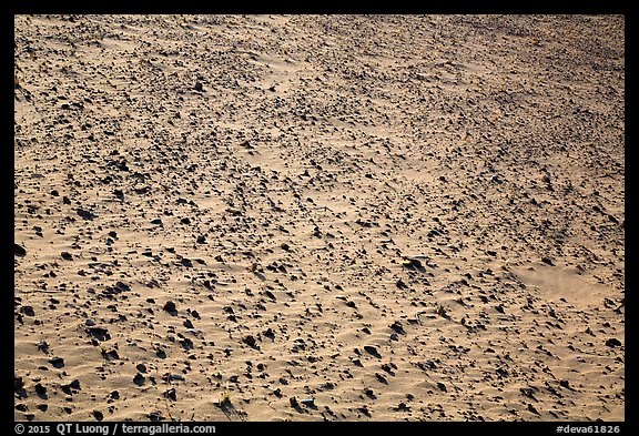 Ground covered with small sharp rock. Death Valley National Park (color)