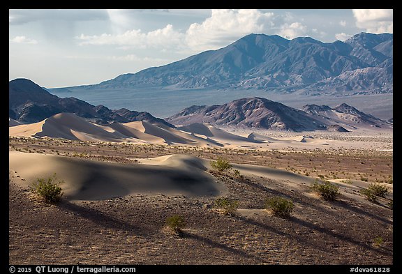 Ibex Dunes and mountains. Death Valley National Park (color)
