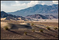 Ibex Dunes and mountains. Death Valley National Park ( color)