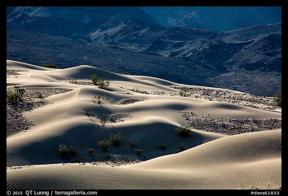 Undulating Ibex dune field. Death Valley National Park (color)