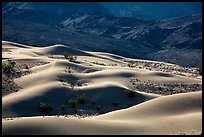 Undulating Ibex dune field. Death Valley National Park ( color)