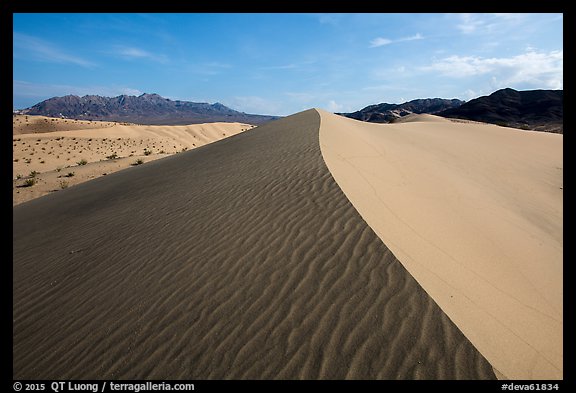 Dune ridge and ripples, Ibex Dunes. Death Valley National Park (color)