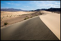 Ibex Dunes and Ibex Hills. Death Valley National Park ( color)