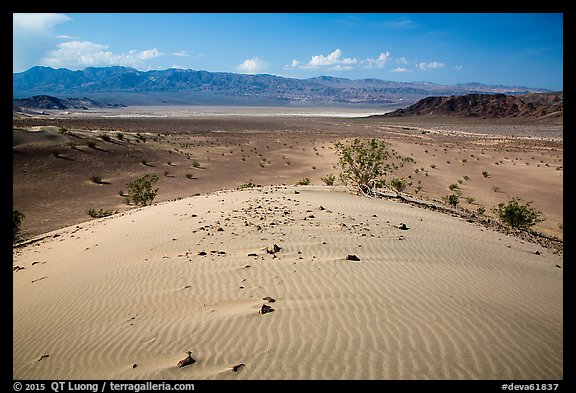 Ibex Dunes and valley. Death Valley National Park (color)