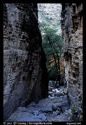 Narrow passage between cliffs, Devil's Hall. Guadalupe Mountains National Park, Texas, USA.