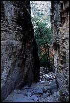 Narrow passage between cliffs, Devil's Hall. Guadalupe Mountains National Park, Texas, USA. (color)