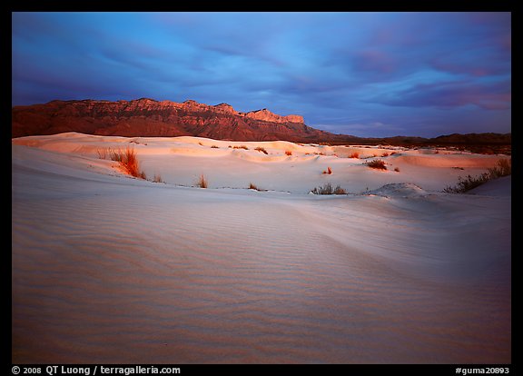 Gypsum dune field and last light on Guadalupe range. Guadalupe Mountains National Park, Texas, USA.
