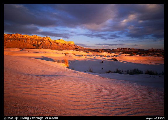 Red light of sunset on white sand dunes and Guadalupe range. Guadalupe Mountains National Park, Texas, USA.