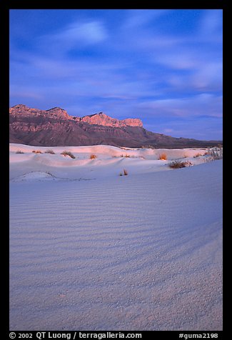 Gypsum sand dunes and Guadalupe range at sunset. Guadalupe Mountains National Park, Texas, USA.